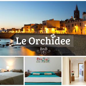 B&B Le Orchidee